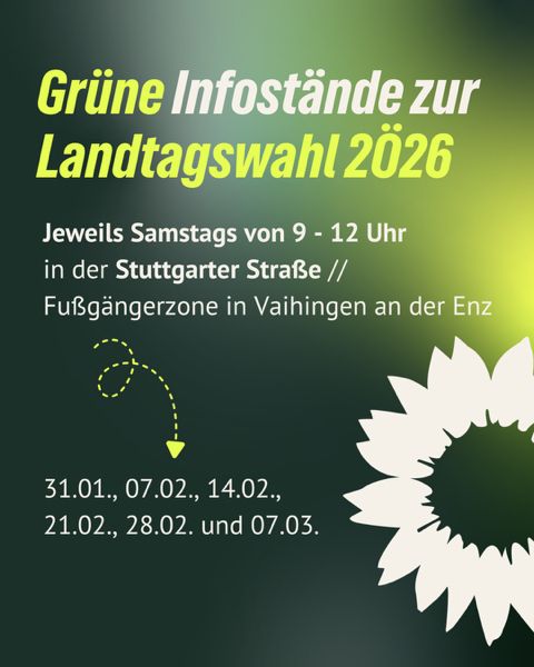 Grüne Infostände zur LTW 2026